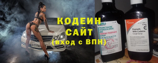 индика Бугульма