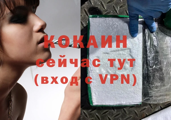индика Бугульма