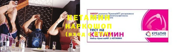 индика Бугульма