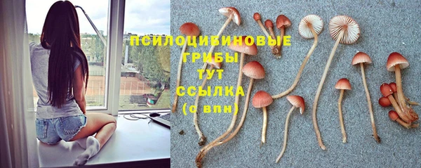индика Бугульма