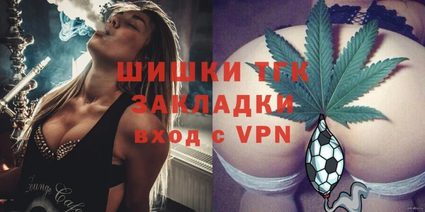 индика Бугульма