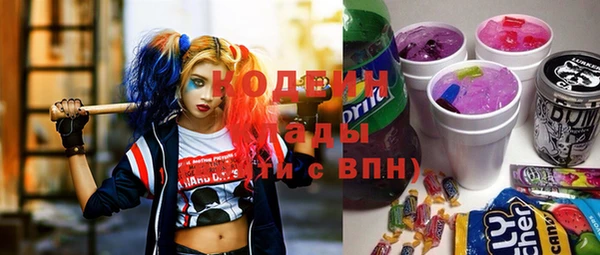 индика Бугульма