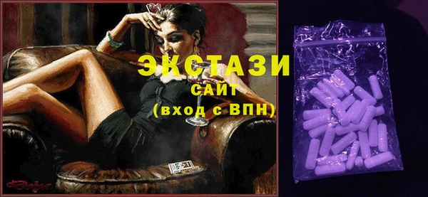 индика Бугульма