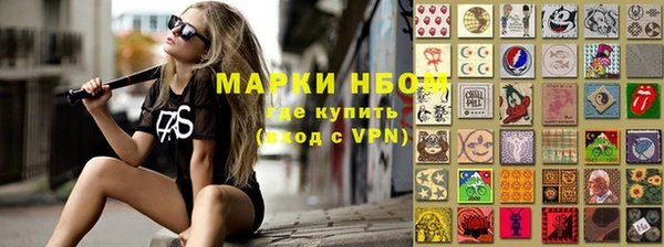 a pvp Бородино