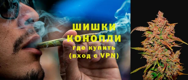 a pvp Бородино