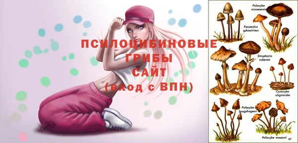 индика Бугульма