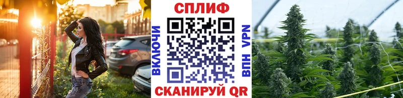 где можно купить   Альметьевск  Марихуана план 